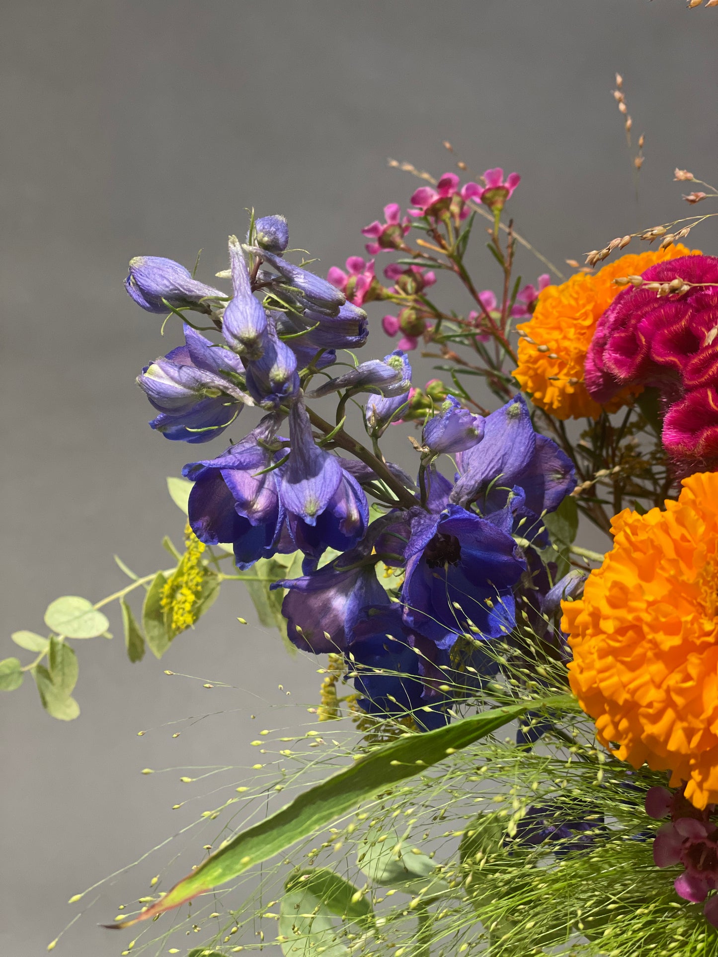 Mittelgroßer Strauß – natürlich