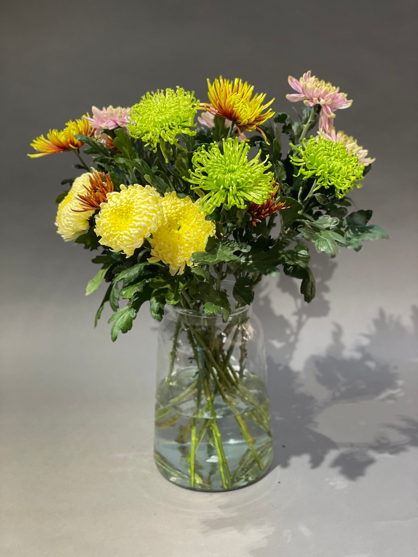 Chrysanthemums
