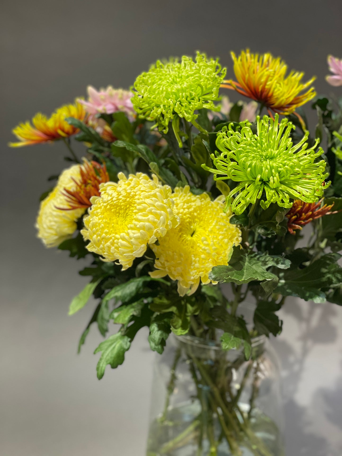 Chrysanthemums