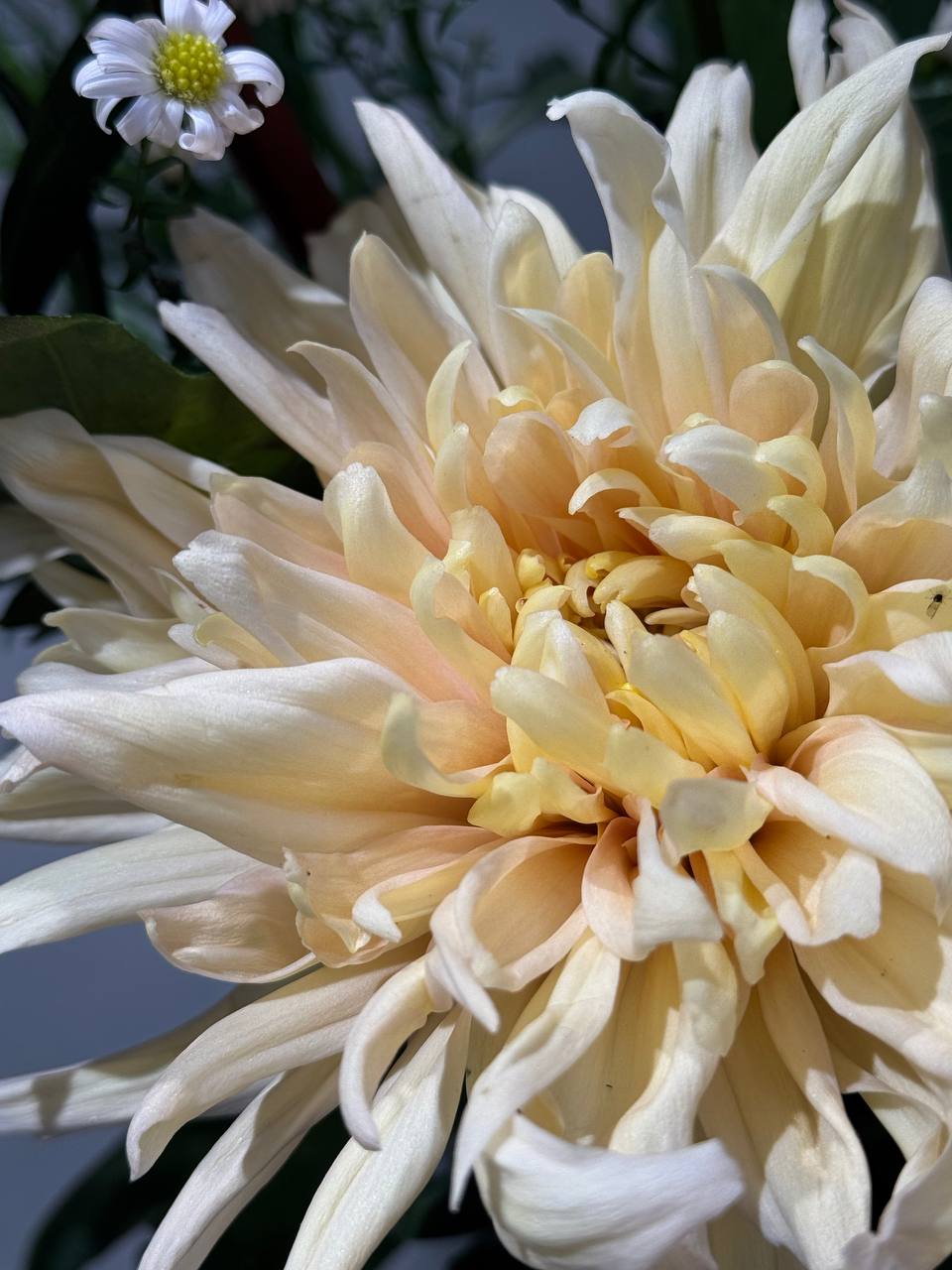 Lose Blumen
