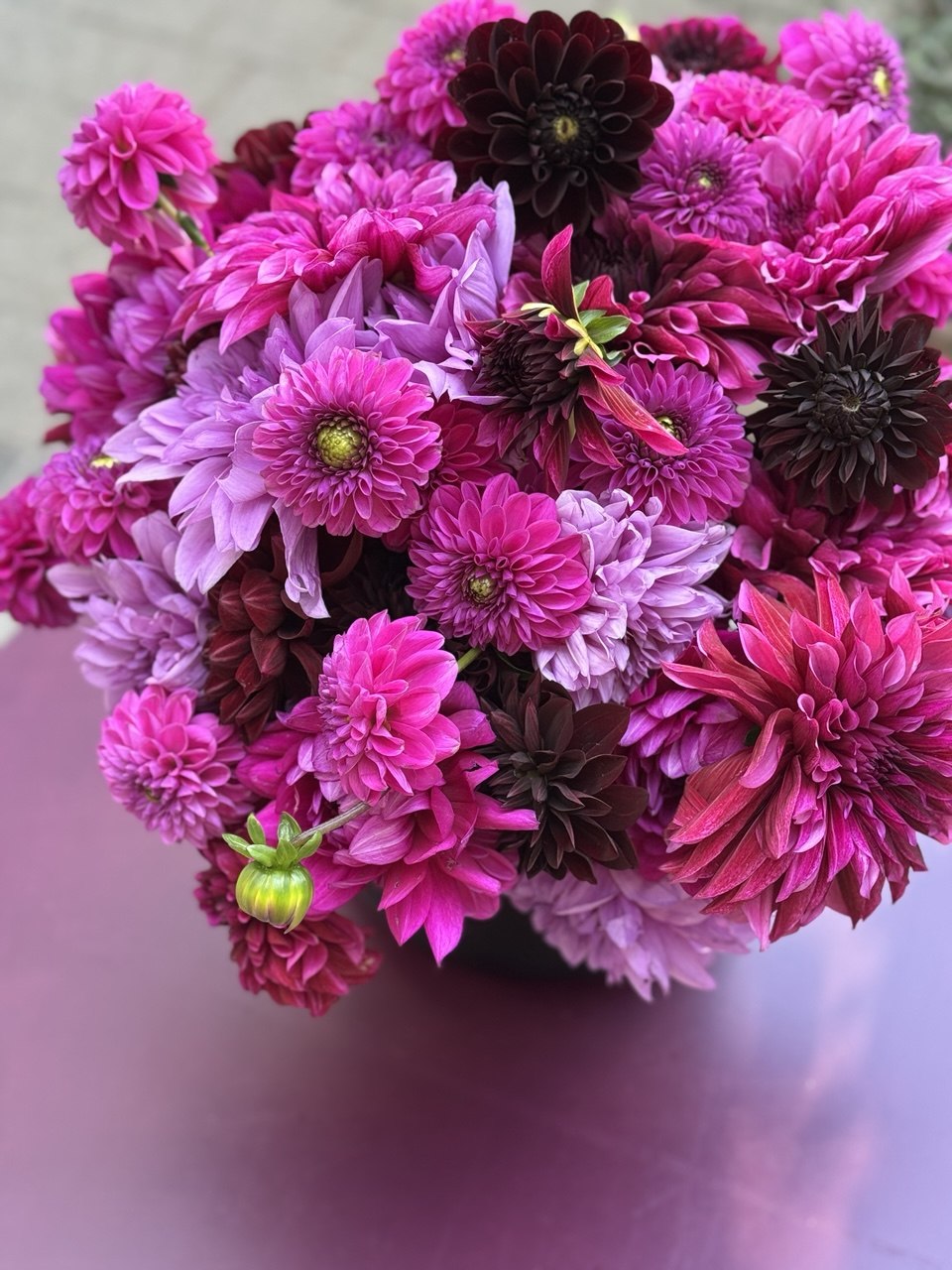 Dahlien