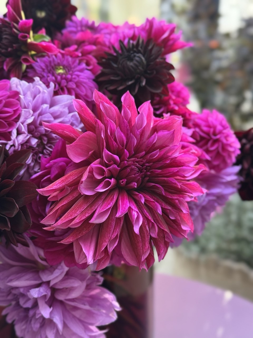 Dahlien