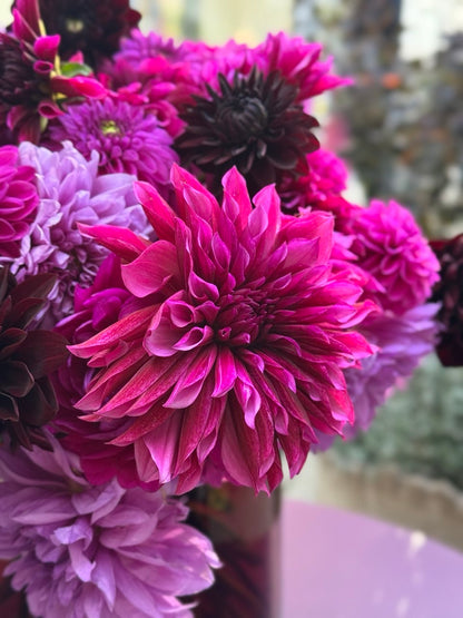 Dahlien