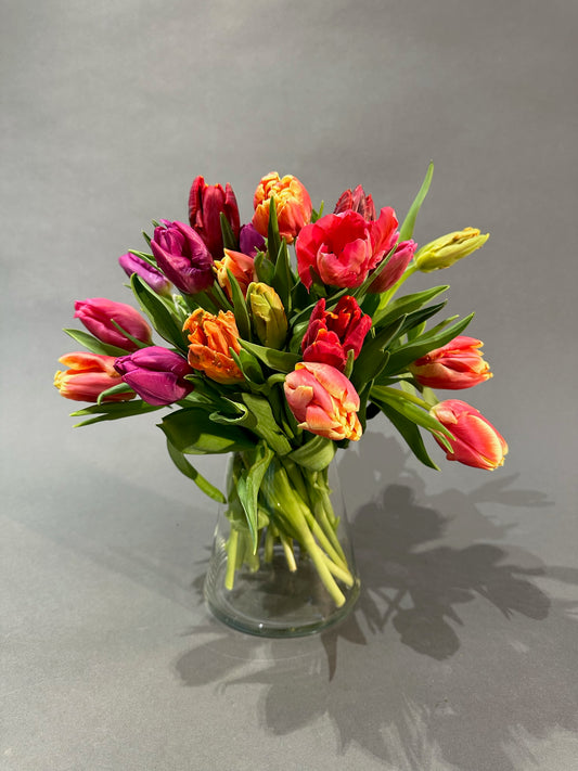 gemischte Tulpen
