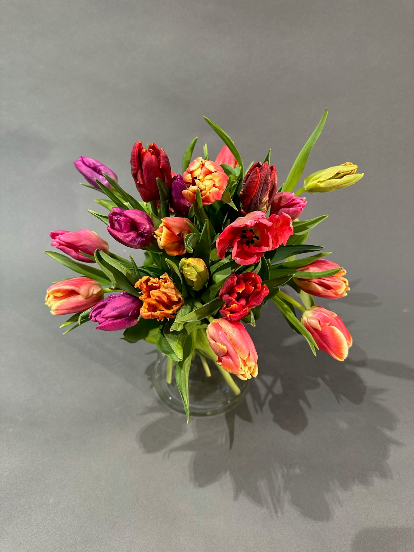 gemischte Tulpen