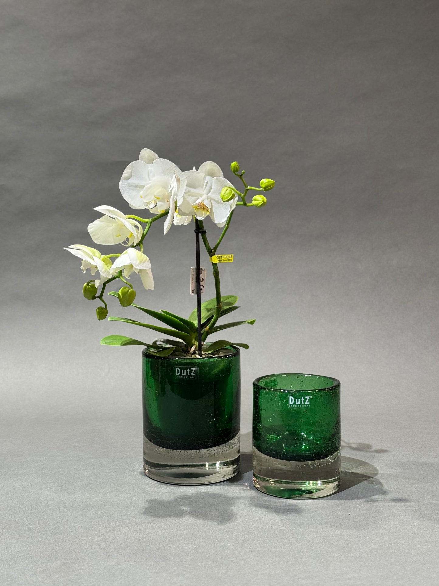 Zylinder Bubble - DutZ  Kollektion