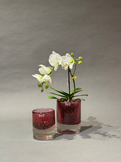 Zylinder Bubble - DutZ  Kollektion