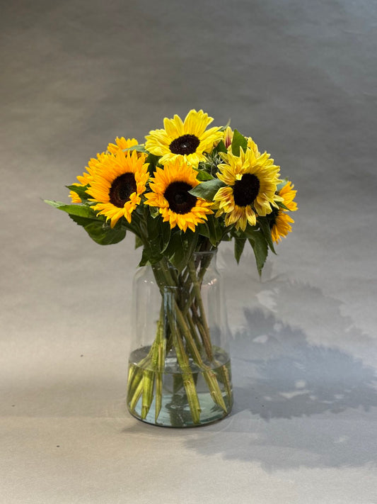 Sonnenblumen