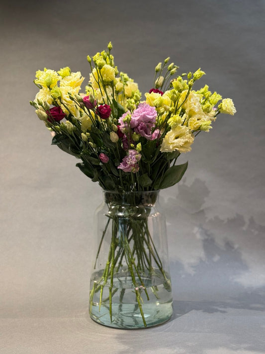 Eustoma