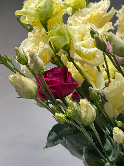 Eustoma